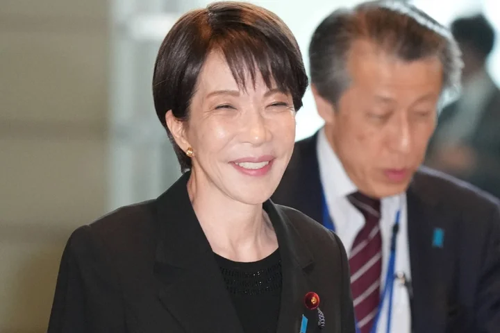 LDP's new vision says constitutional revision 'critically needed'