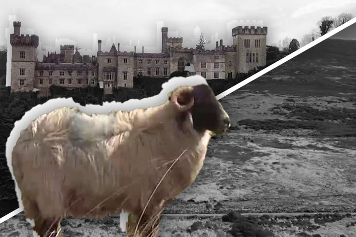 'No conversations on evictions' of Waterford farmers, says Duke