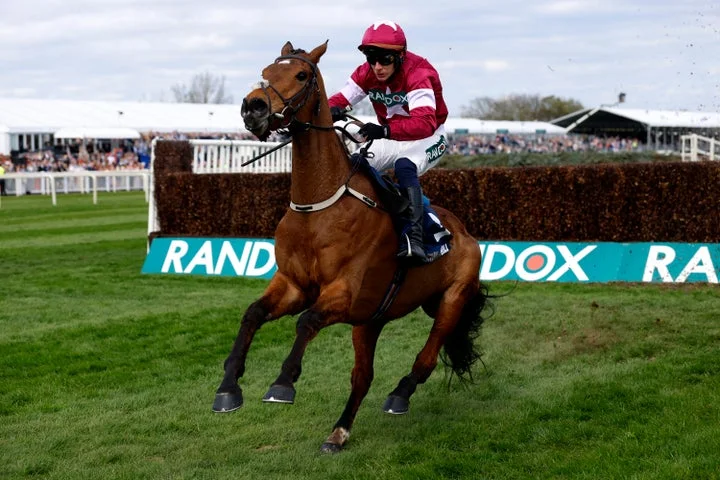 Aintree horse Gold Dancer suffers fatal injury while winning race