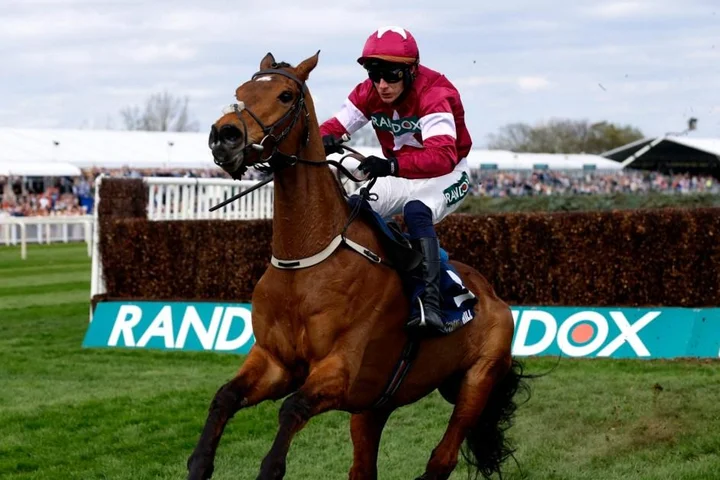 Grand National horse put down after winning race with broken back