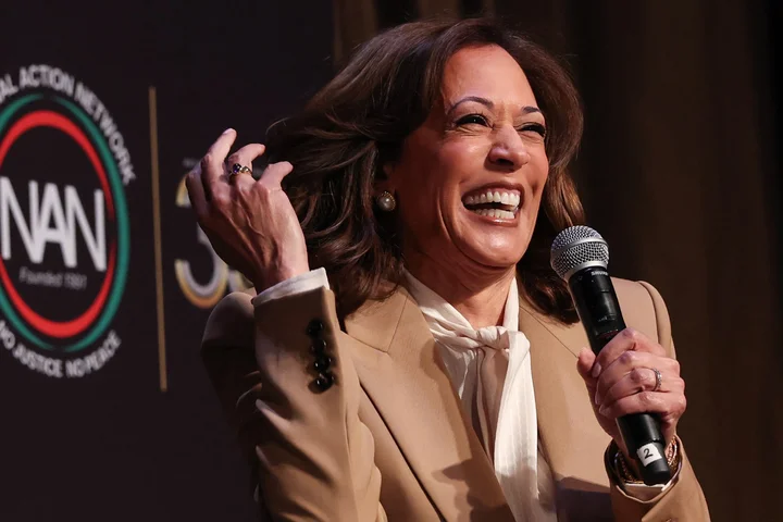Democrat Kamala Harris teases 2028 presidential bid, following Trump loss