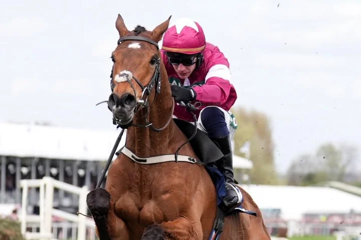 Grand National jockey explains why Gold Dancer was not pulled up after breaking back