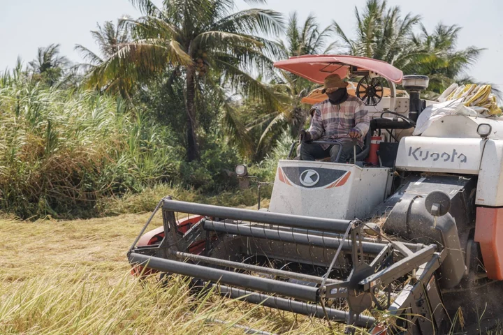 Fuel shortages from Iran war threaten Asia’s biggest food staple