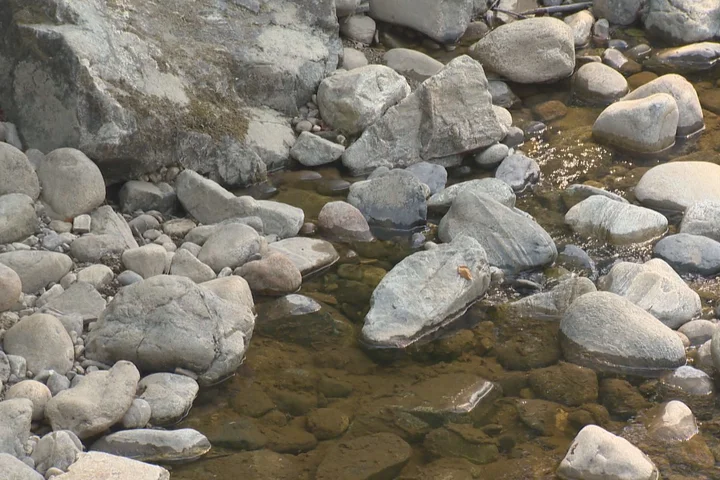 Okanagan snowpack at lowest in 40 years as drought fears ramp up