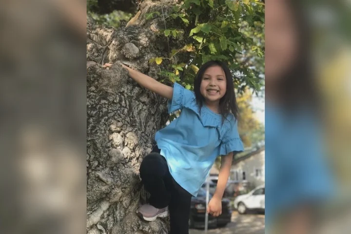 Appeal dismissed in impaired driving case involving THC, death of 9-year-old