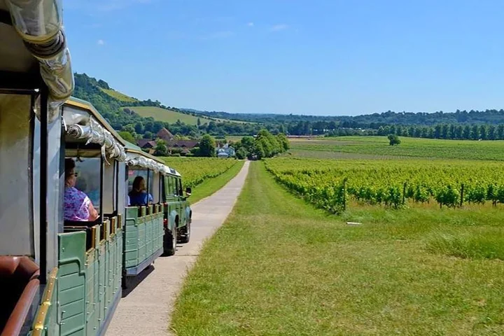 The ‘magnificent’ £12.50 wine train that’s just an hour outside of London