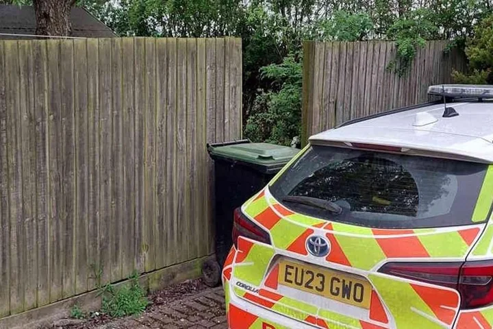 Teenager dies after dog attack with man arrested