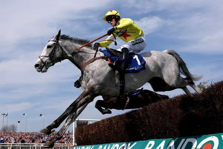 How many horses have died at the Grand National ahead of the 2026 race?