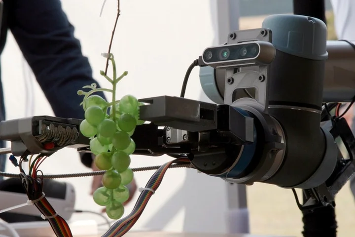 AI could be coming for your wine as experts turn to technology for industry overhaul