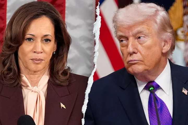 Social media erupts after Harris introduces 'mob boss' accent to attack Trump: 'Total cringe'