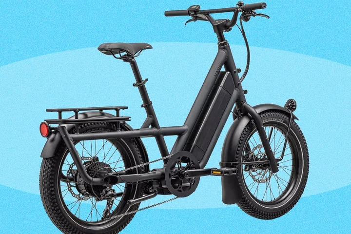 Best Electric Cargo Bikes (2026): Urban Arrow, Lectric, Tern, and More