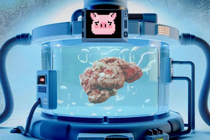 We could one day ‘reanimate’ your mind after scientists preserve pig brain