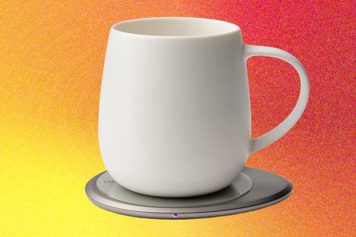 The 3 Best Mug Warmers of 2026: Better Than the Ember Mug?