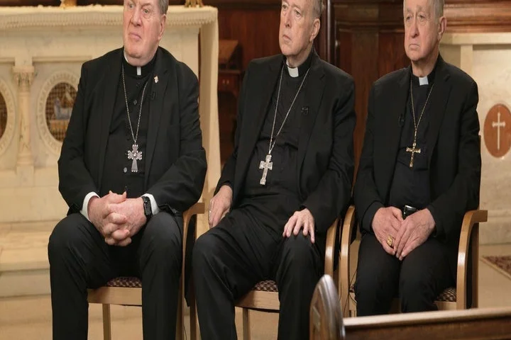 When Pope Leo, American cardinals choose to speak up on U.S. politics