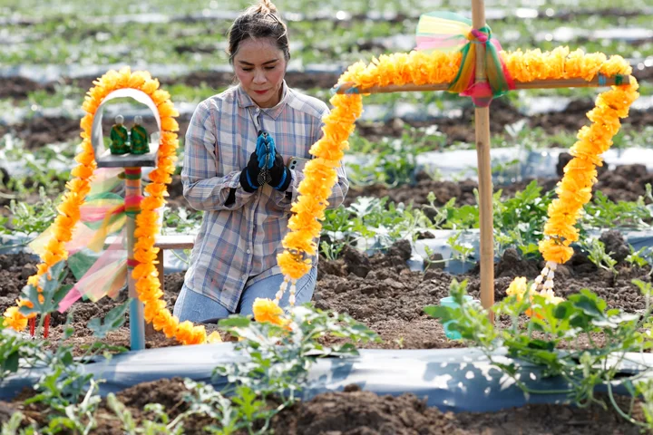 World faces food ‘catastrophe’ if Strait of Hormuz disruption persists: FAO