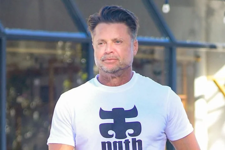 Baywatch star David Charvet accused of killing dog in hit-and-run
