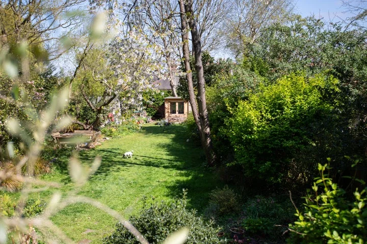 By-step guide to a seamless summer garden