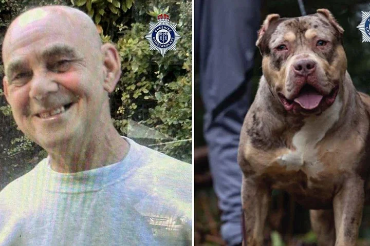 Owner of XL bully that ‘basically ate’ great-granddad in fatal attack is jailed