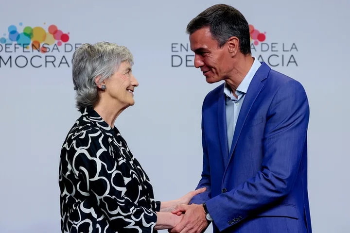 President 'looking forward' to Council of State advice