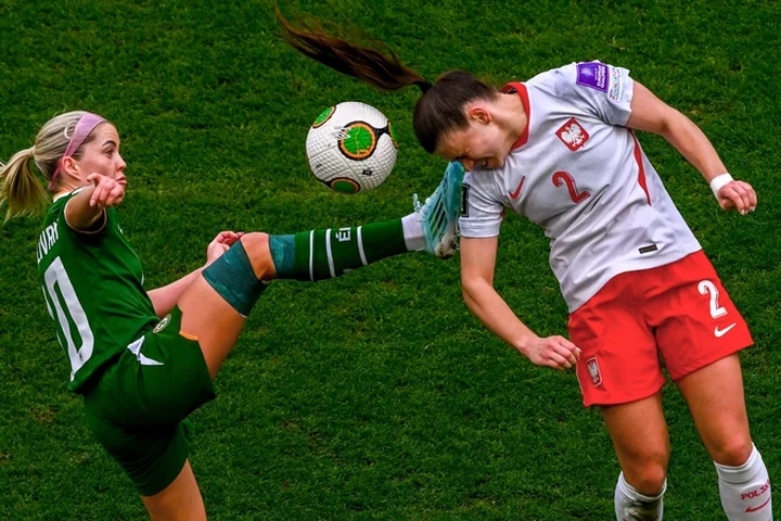 Sheva on target as Ireland shade Poland once again