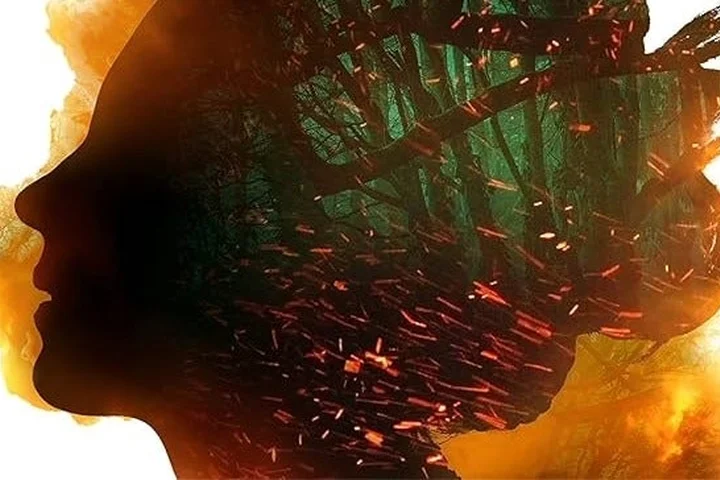 Hulu to Adapt Penn Cole’s Spark of the Everflame Romantasy Series