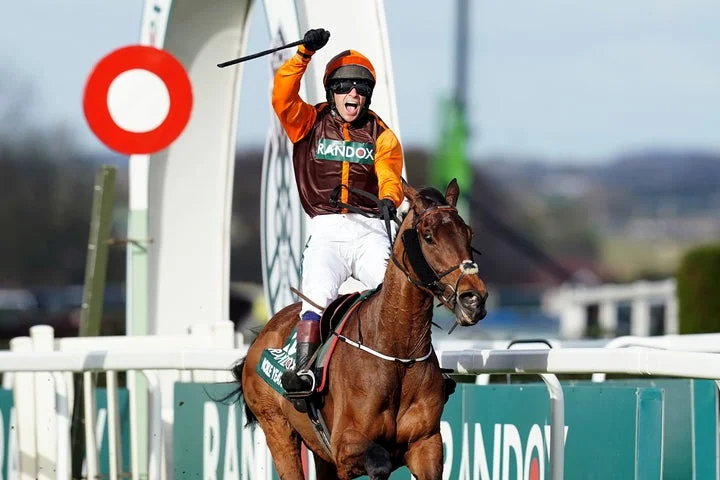 Tributes paid to former Grand National winner after death aged 11