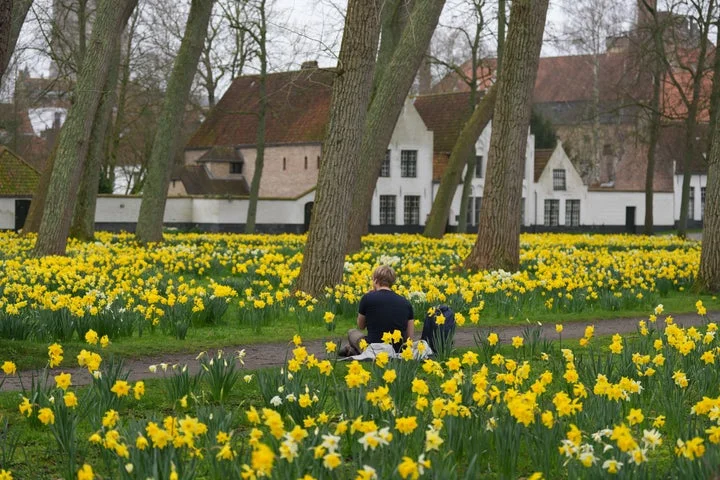 Belgium’s Beguinages: Tranquil oases in a world of noise and distraction