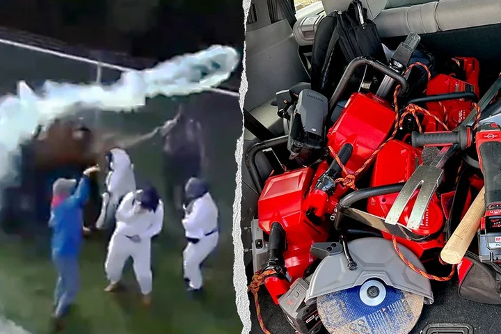 Hundreds of activists face pepper spray in violent clash with deputies at Wisconsin beagle research facility