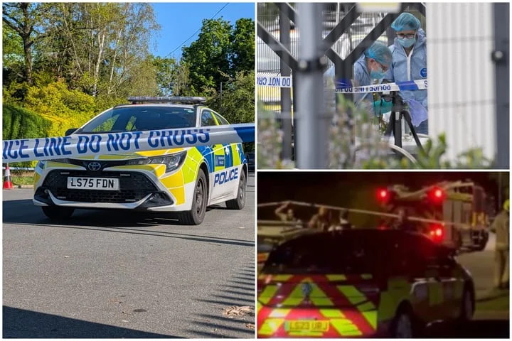 Synagogue 'firebombed' in latest 'cowardly' arson attack on Jewish community in north London