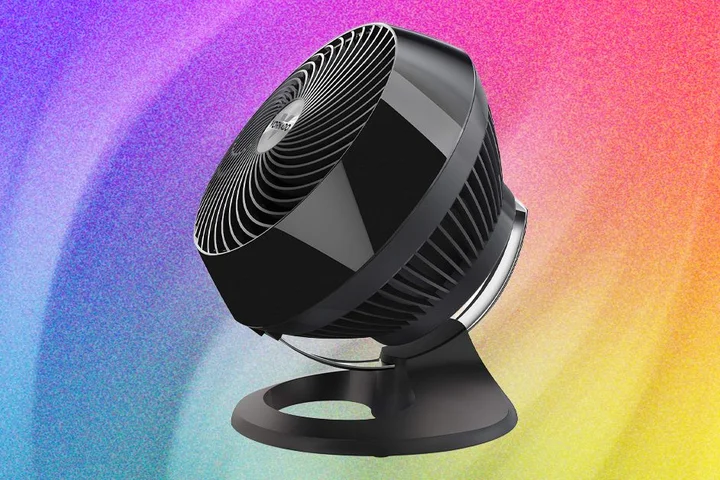 The 11 Best Fans to Buy Before It Gets Hot Again (2026)