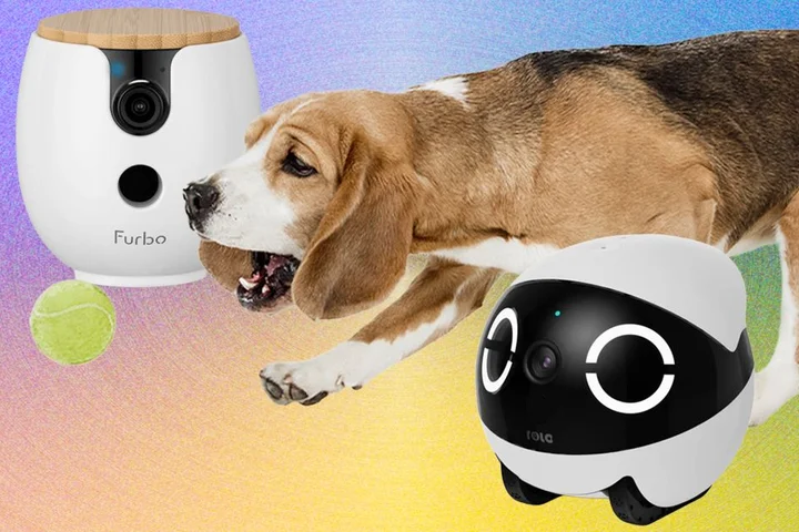 The 10 Best Pet Cameras of 2026: Furbo, Petcube, and Enabot
