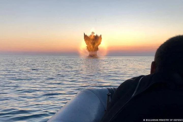 How dangerous are they?