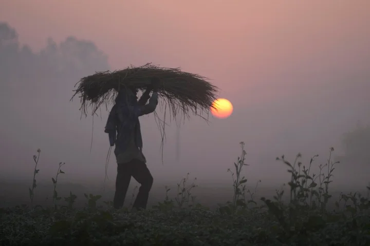 As Iran crisis drags on, fears of global food catastrophe grow