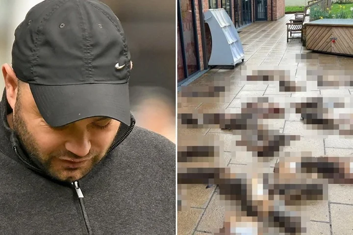 Man ‘dumped 50 dead hares outside shop and smeared blood across the storefront’
