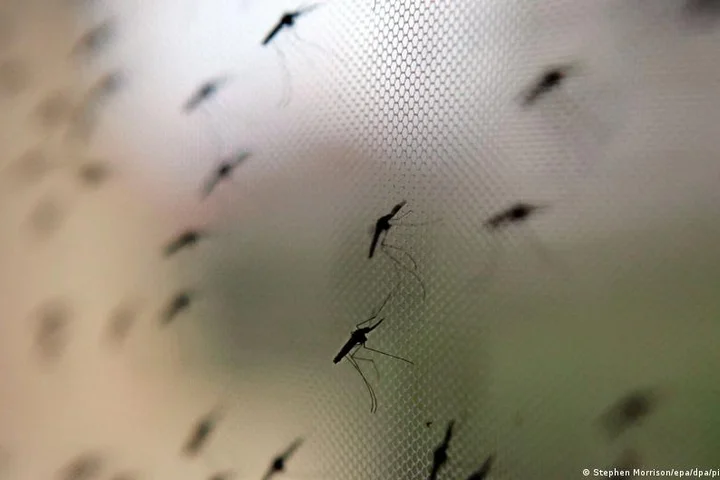 WHO approves first Malaria drug for babies