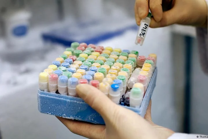 Health data volunteered by 500,000 people to Biobank charity listed for sale on Alibaba in China