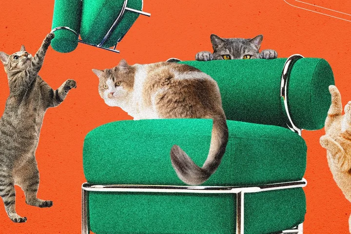 Ikea's New Blow-Up Chair Was Tested by Cats