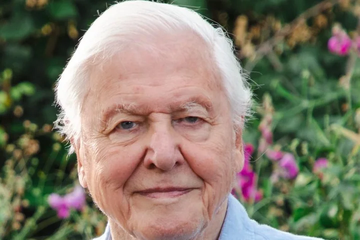 Sir David Attenborough still ‘appalled’ he shot animal 70 years ago