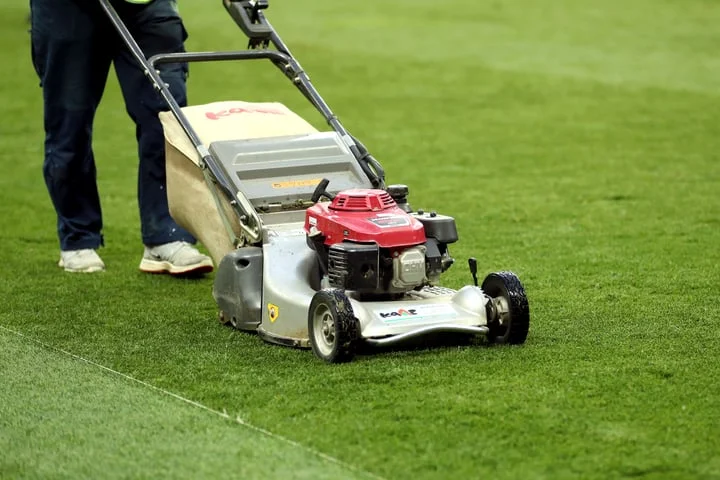 Gardeners join movement to let lawn grow for nature as ‘No Mow May’ begins