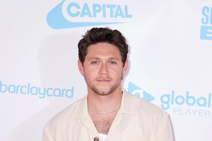 Niall Horan felt like he ‘had to’ rewrite song after Liam Payne died