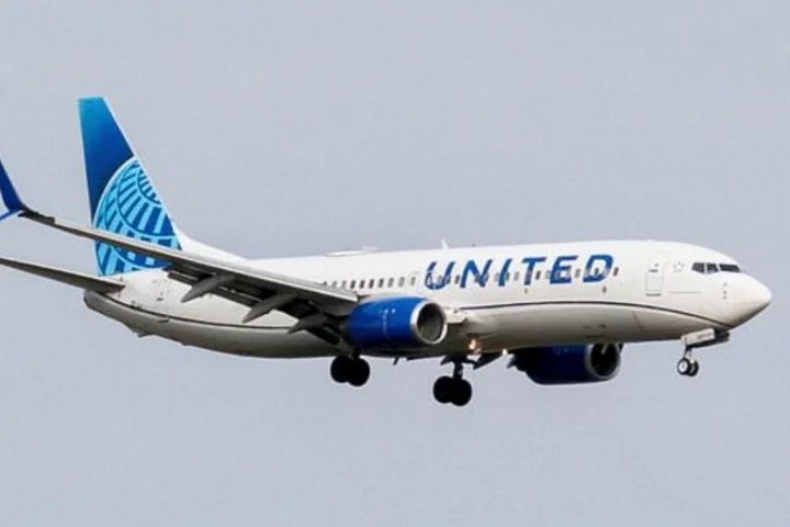 Flight declares emergency after passenger attacks attendant and tries to enter cockpit