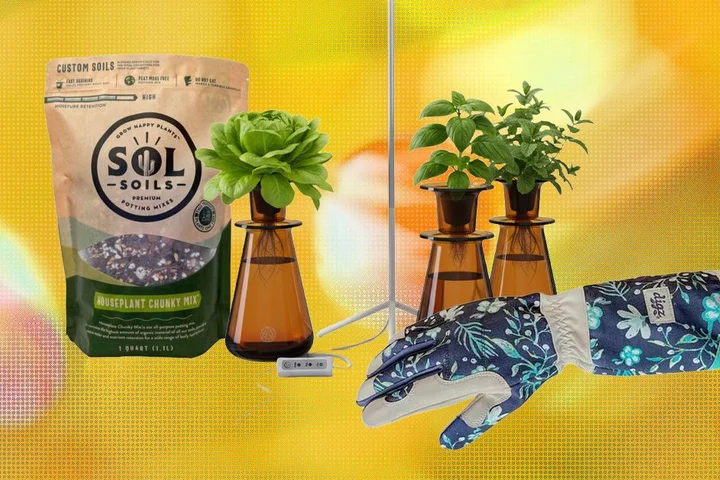 15 Best Gifts for Plant Lovers and Gardeners (2026)