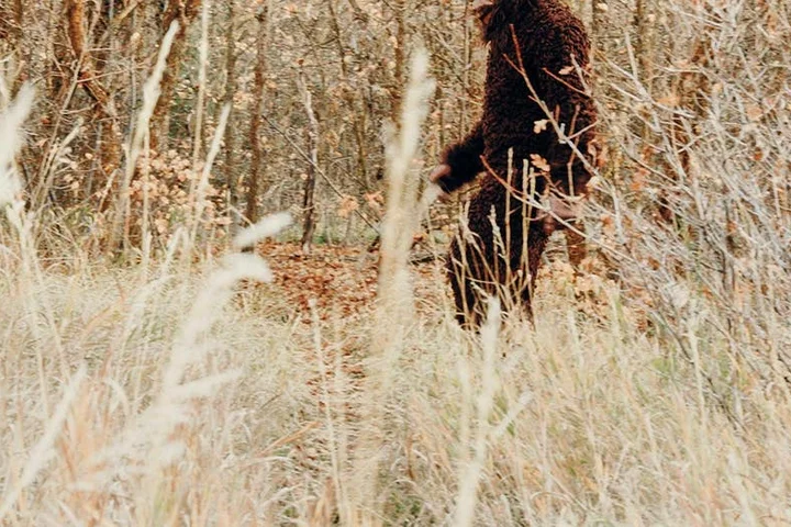 New evidence surfaces in Northeast Ohio Bigfoot flap including alleged tracks and unexplained howls