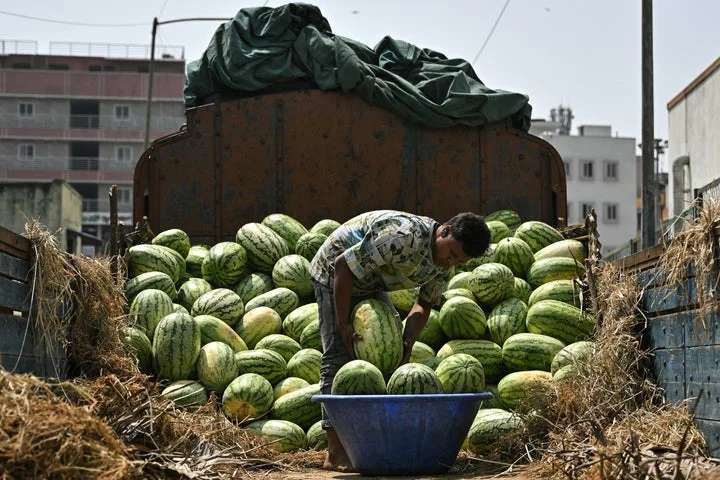 Watermelon sales crash as family of four die mysteriously after eating the fruit