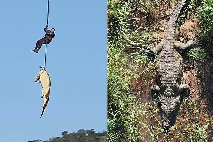 South African police airlift massive crocodile suspected of eating missing local