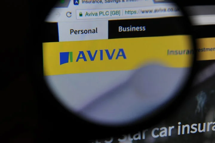 Protesters take aim at Aviva as shareholder meetings face disruption