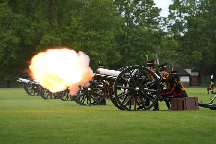 Gun salute marks anniversary of King’s coronation – after ducklings guided away