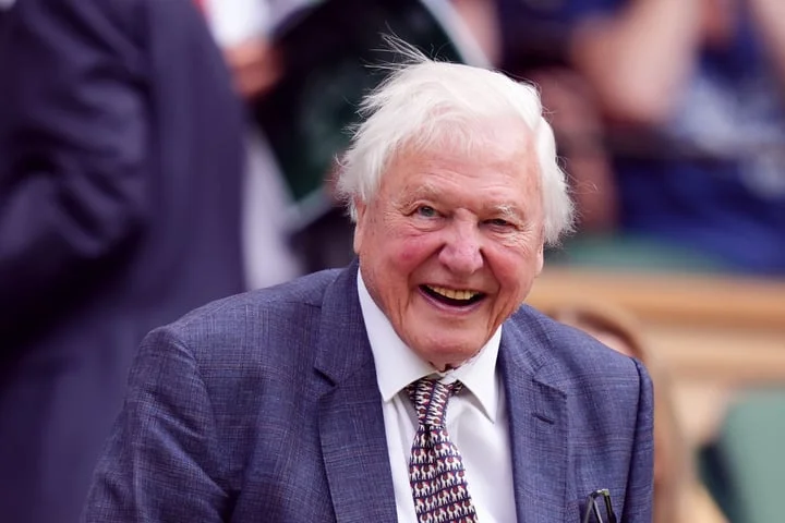 The plants and animals David Attenborough has lent his name to