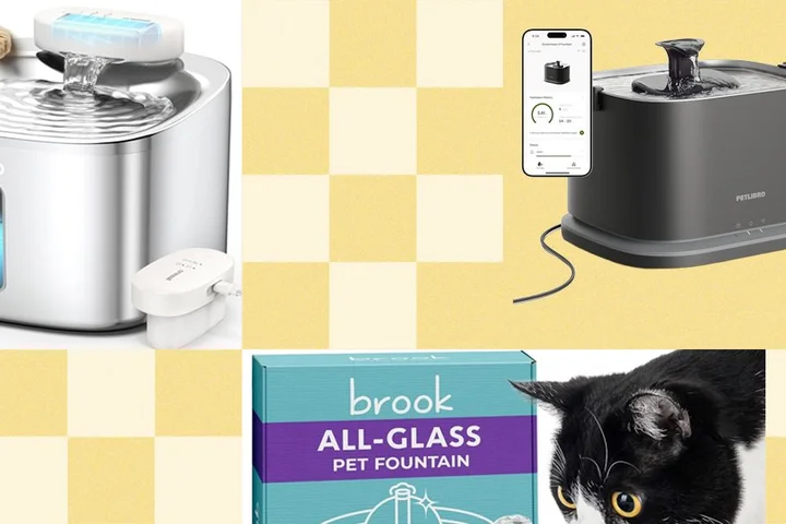 The Best Cat Water Fountains of 2026: Petlibro, Petkit, Oneisall