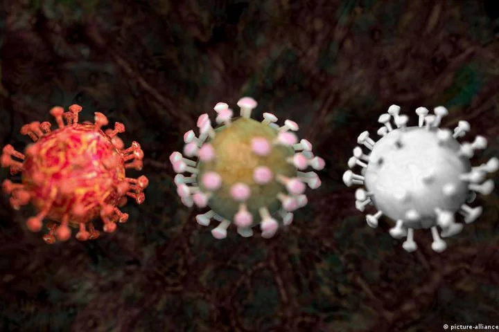 Endemic, epidemic, pandemic: What's the difference?